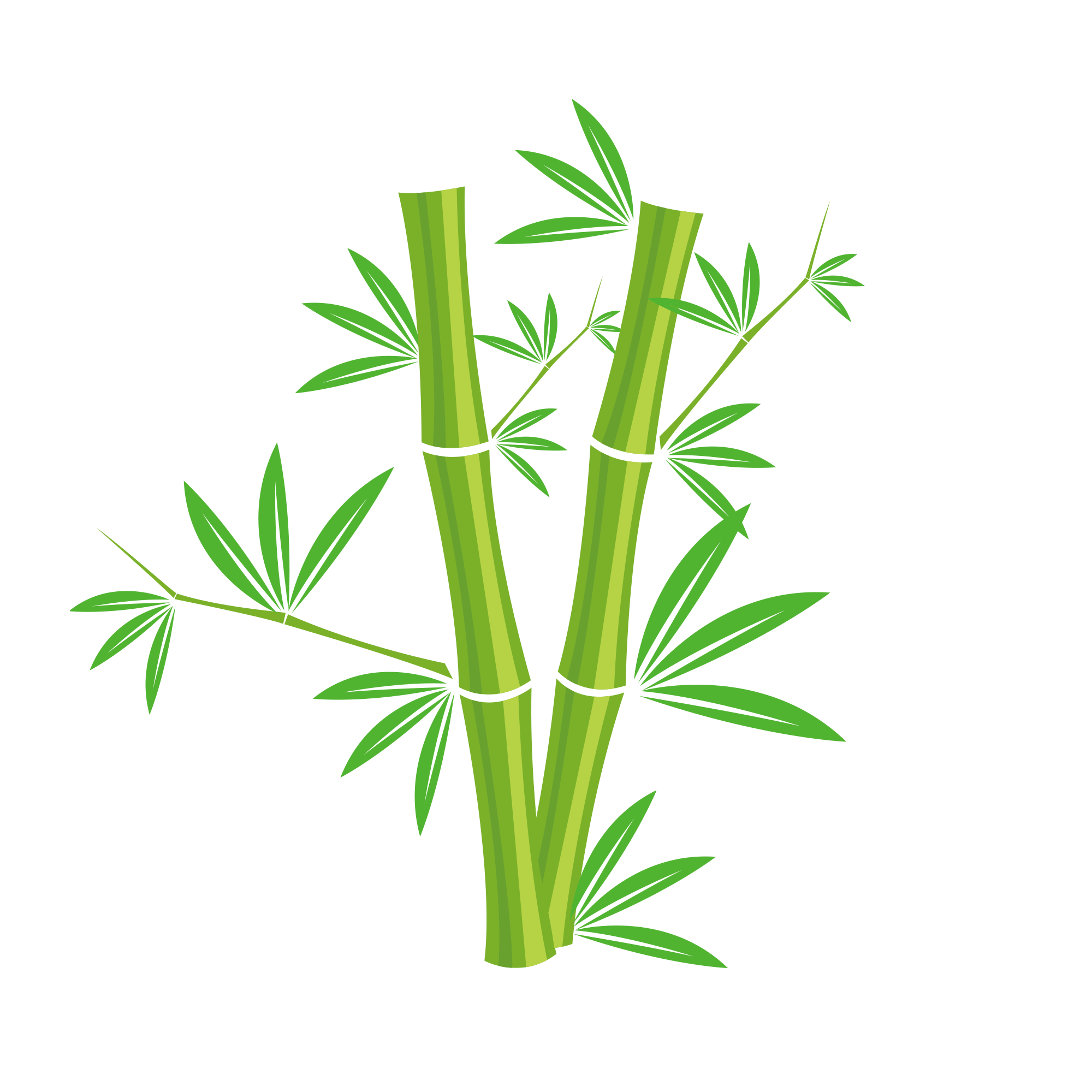 bamboo download